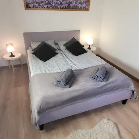 W Murzasichlu Z Kominkiem Holiday home Murzasichle